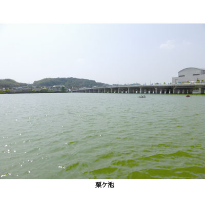 第16回 富田林歴史講座　ええとこ富田林『富田林の歴史ロマン』画像