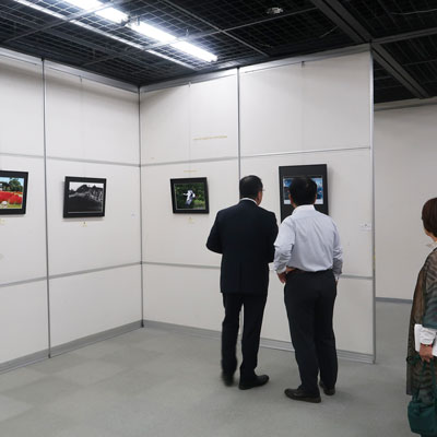 第75回富田林市民文化祭　市民美術工芸展画像