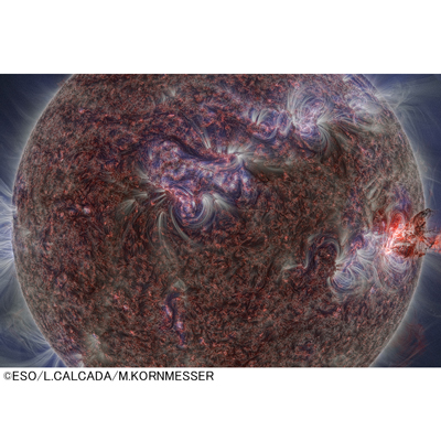 プラネタリウム　太陽～私たちの母なる星～画像