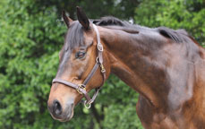 東日本大震災復興支援チャリティーイベント『大切なあなただから』